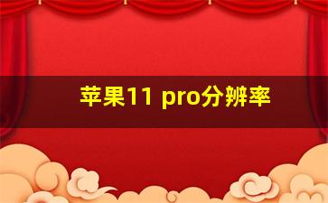 苹果11 pro分辨率