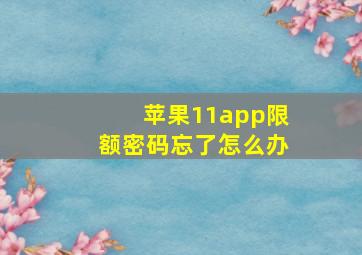 苹果11app限额密码忘了怎么办