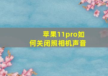 苹果11pro如何关闭照相机声音