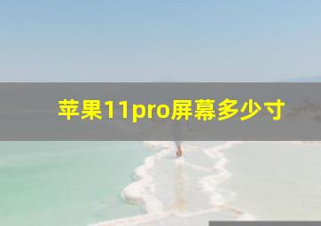 苹果11pro屏幕多少寸