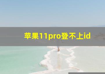 苹果11pro登不上id