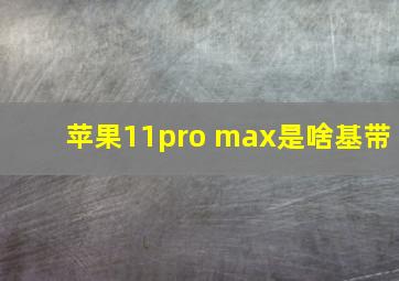 苹果11pro max是啥基带