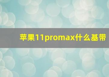 苹果11promax什么基带