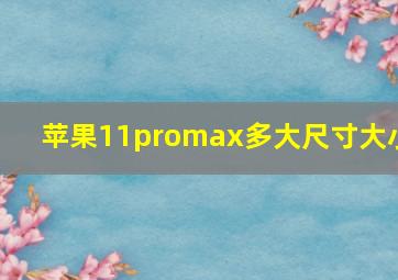 苹果11promax多大尺寸大小