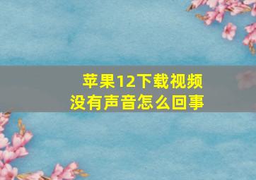 苹果12下载视频没有声音怎么回事