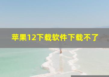 苹果12下载软件下载不了