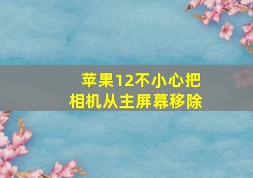 苹果12不小心把相机从主屏幕移除