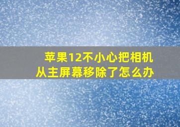 苹果12不小心把相机从主屏幕移除了怎么办