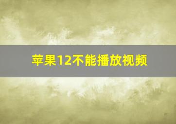 苹果12不能播放视频