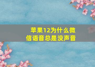 苹果12为什么微信语音总是没声音