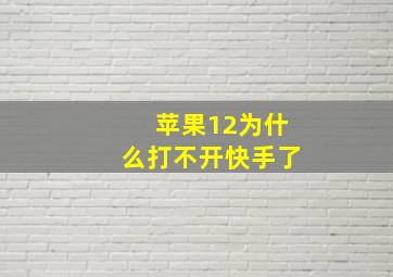 苹果12为什么打不开快手了