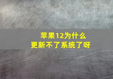 苹果12为什么更新不了系统了呀