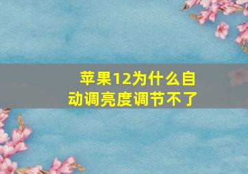 苹果12为什么自动调亮度调节不了