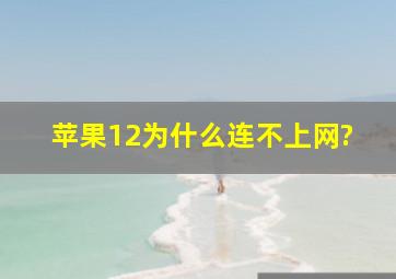 苹果12为什么连不上网?