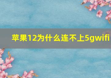 苹果12为什么连不上5gwifi