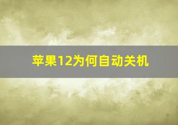 苹果12为何自动关机