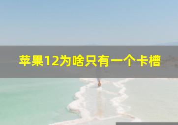 苹果12为啥只有一个卡槽