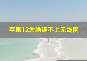 苹果12为啥连不上无线网