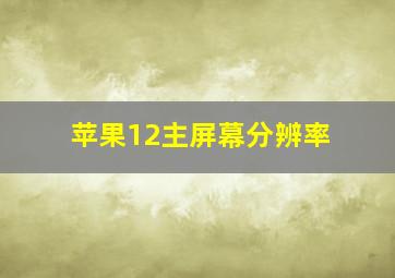 苹果12主屏幕分辨率