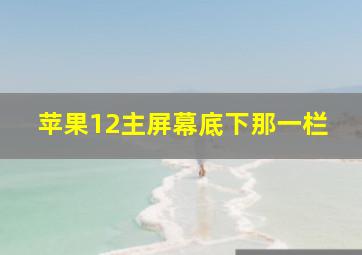 苹果12主屏幕底下那一栏