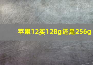 苹果12买128g还是256g