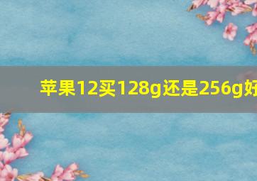 苹果12买128g还是256g好