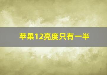 苹果12亮度只有一半