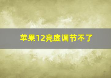 苹果12亮度调节不了