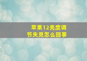 苹果12亮度调节失灵怎么回事