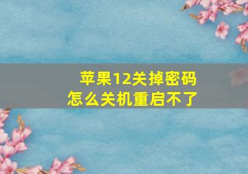 苹果12关掉密码怎么关机重启不了