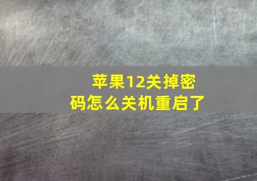 苹果12关掉密码怎么关机重启了