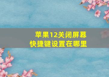 苹果12关闭屏幕快捷键设置在哪里