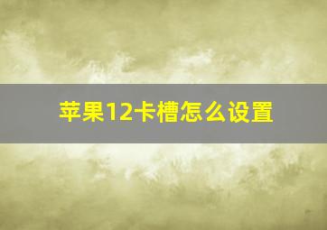 苹果12卡槽怎么设置