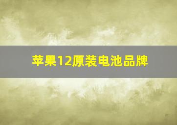 苹果12原装电池品牌