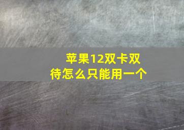 苹果12双卡双待怎么只能用一个