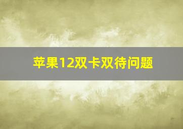 苹果12双卡双待问题