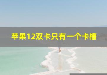 苹果12双卡只有一个卡槽