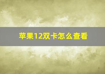 苹果12双卡怎么查看