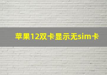 苹果12双卡显示无sim卡