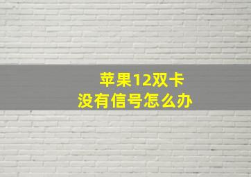 苹果12双卡没有信号怎么办