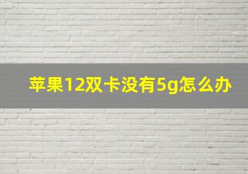 苹果12双卡没有5g怎么办