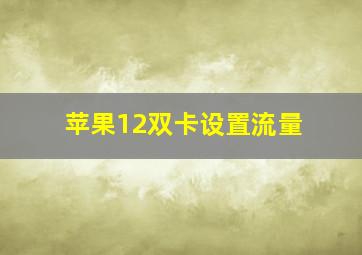 苹果12双卡设置流量