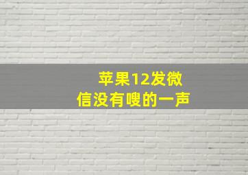 苹果12发微信没有嗖的一声