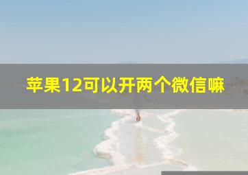 苹果12可以开两个微信嘛