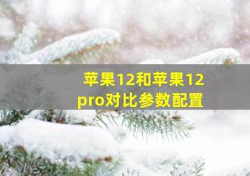 苹果12和苹果12pro对比参数配置