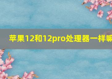 苹果12和12pro处理器一样嘛