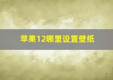 苹果12哪里设置壁纸