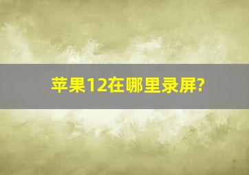 苹果12在哪里录屏?