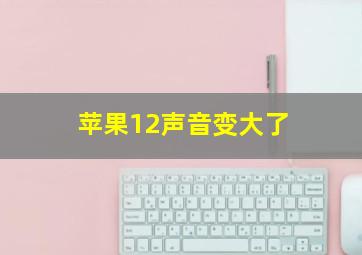 苹果12声音变大了