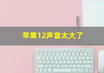 苹果12声音太大了